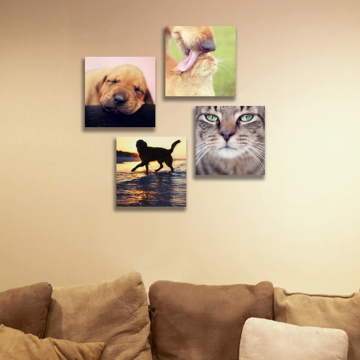 Dog & Cat Lovers Collection