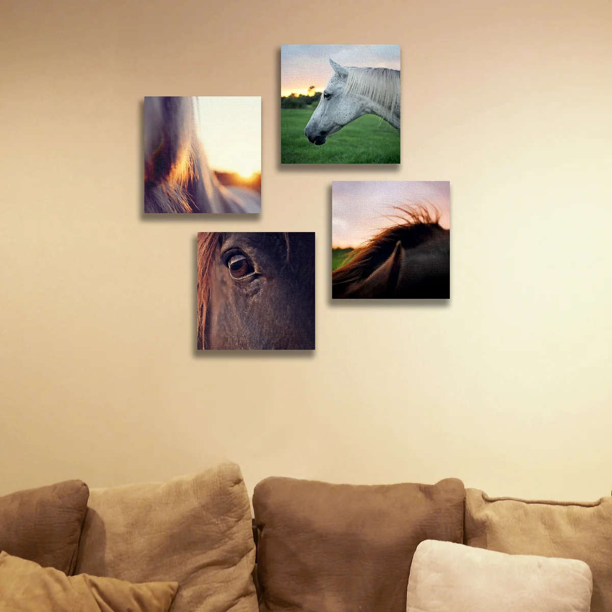 Horse Lovers Collection