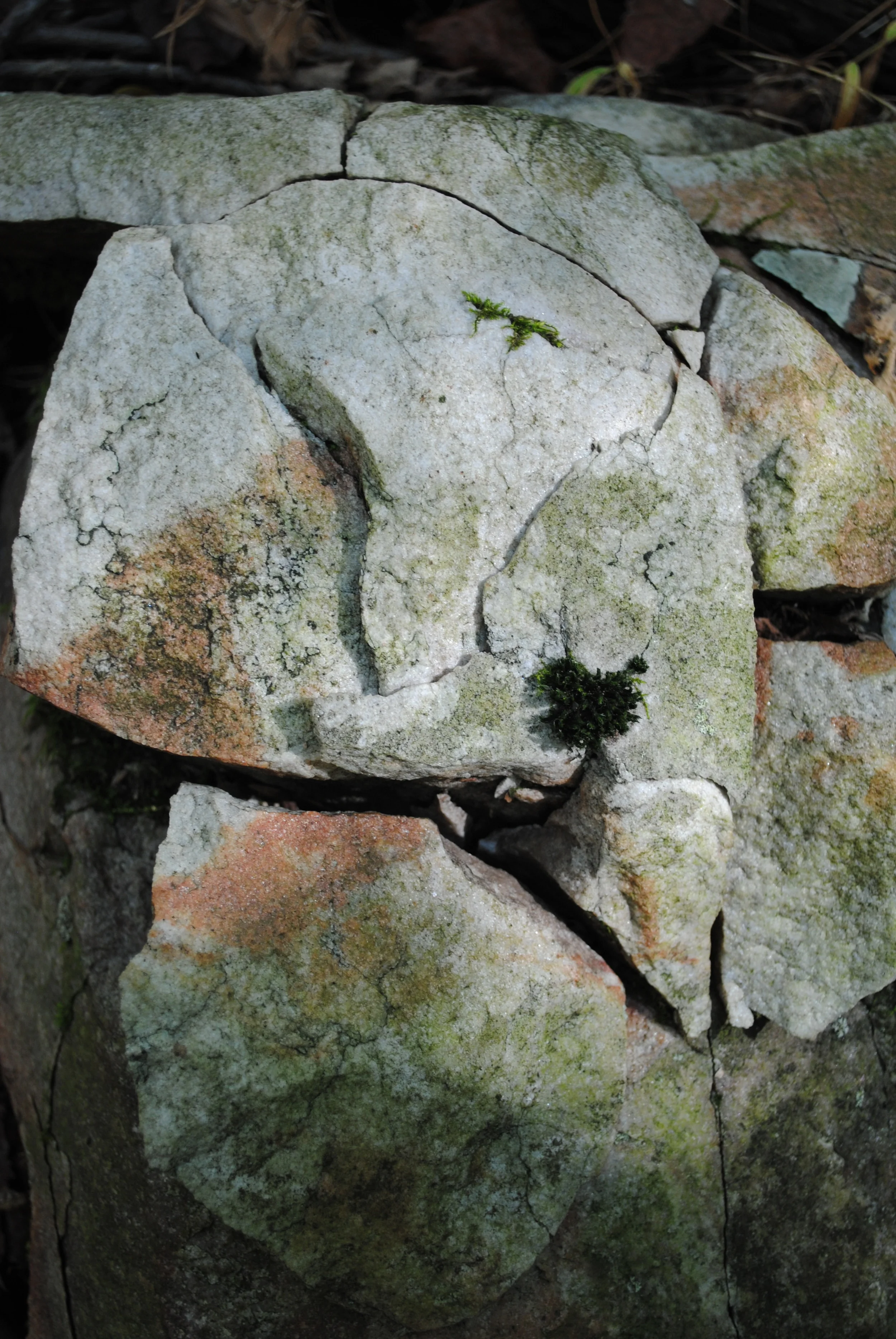 Rock Face
