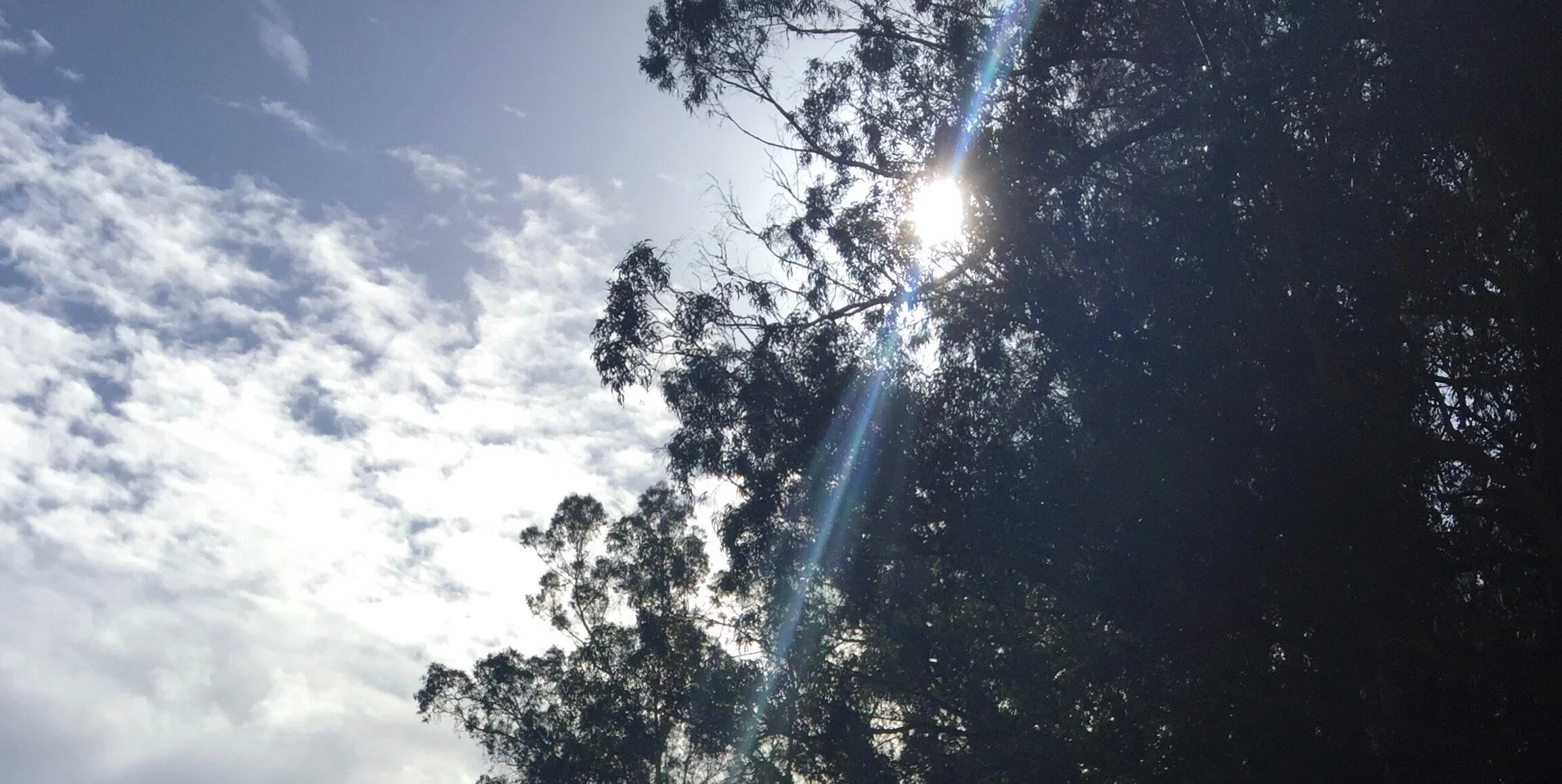 ggsky.jpeg