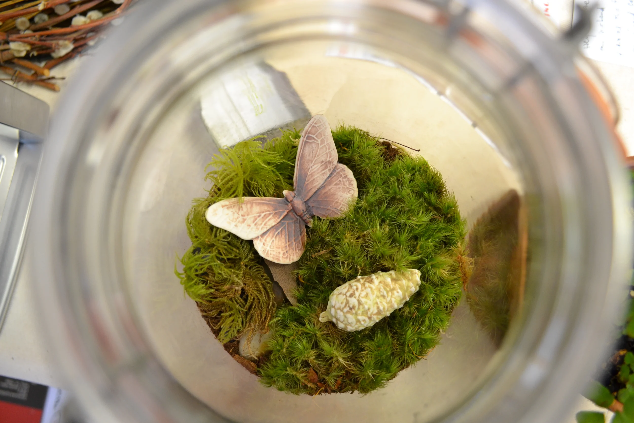 Terrarium - top view