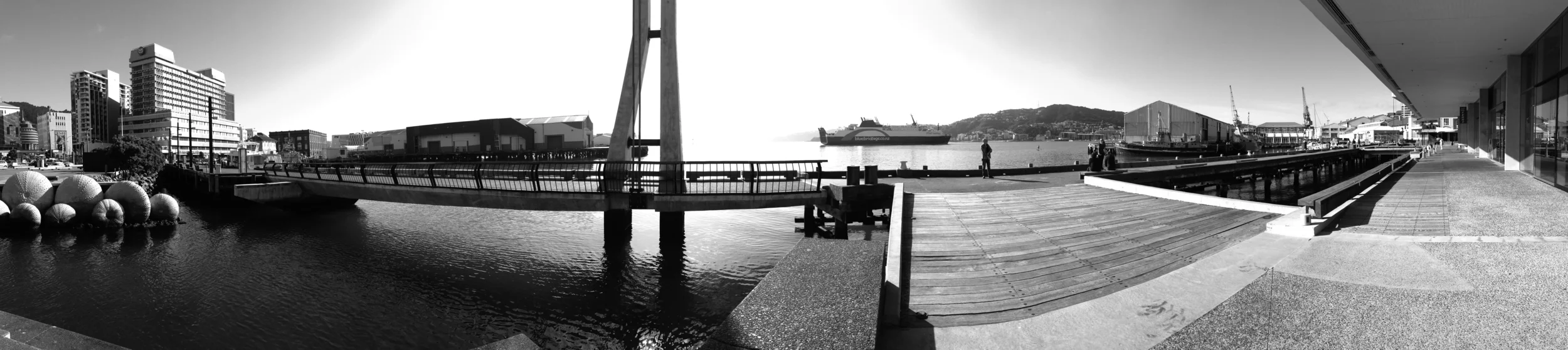 IMG_0203 copy 4.JPG