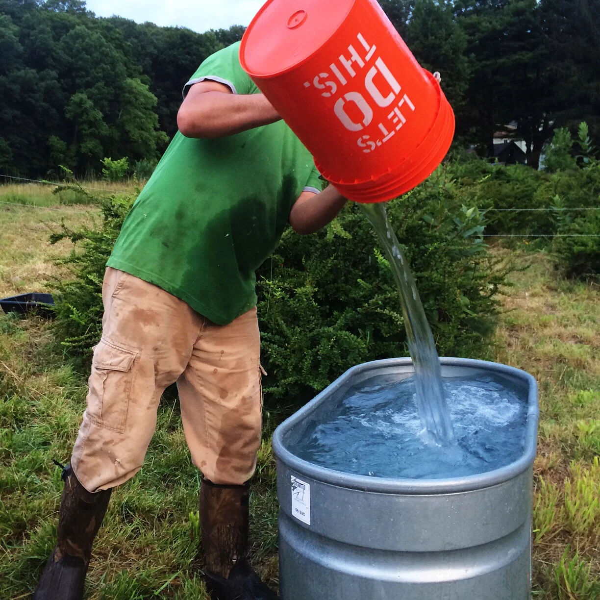 I didn't even notice the slogan until after I saw the photo. Well played, bucket.