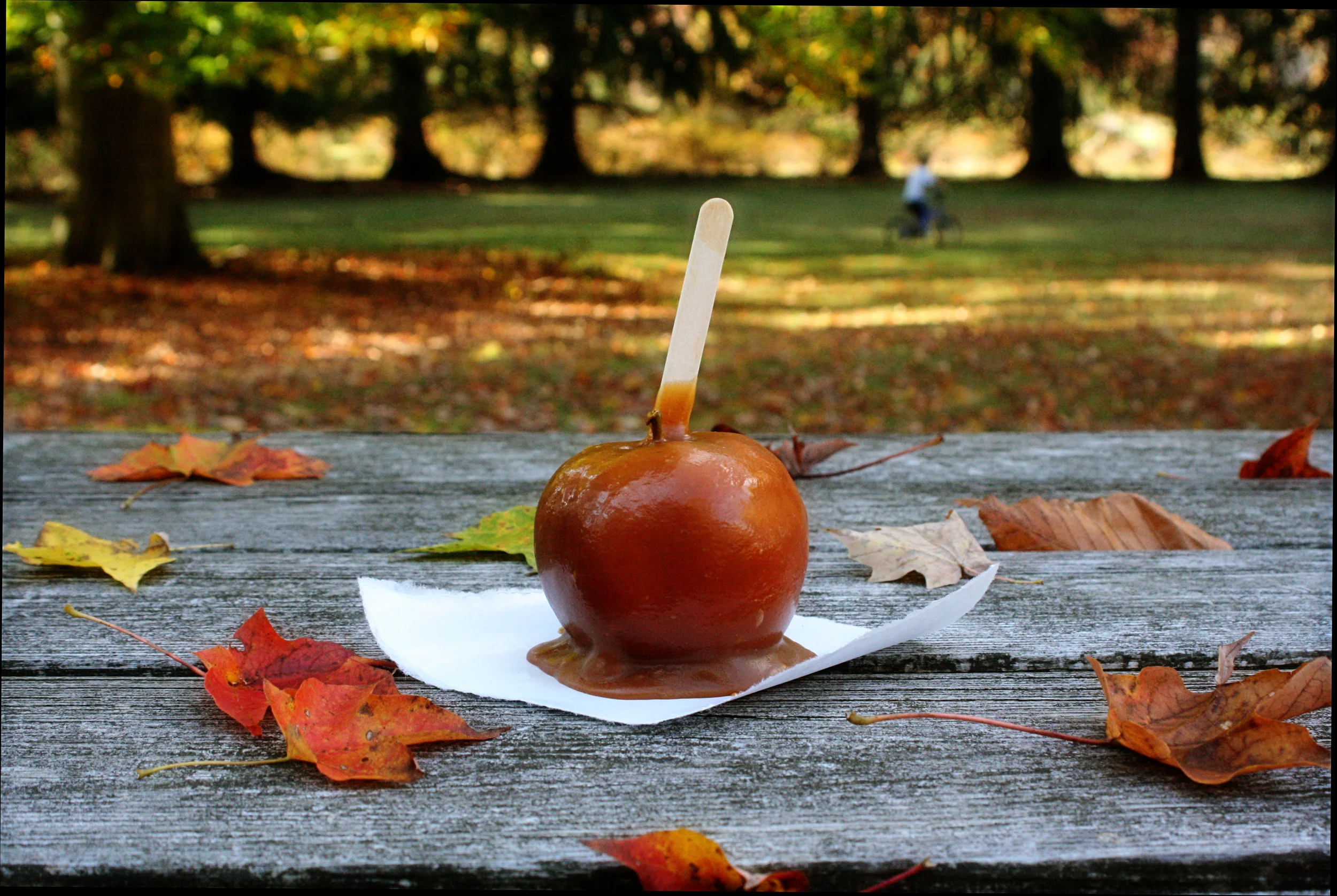 Can you make caramel apples with Cara-Sel?