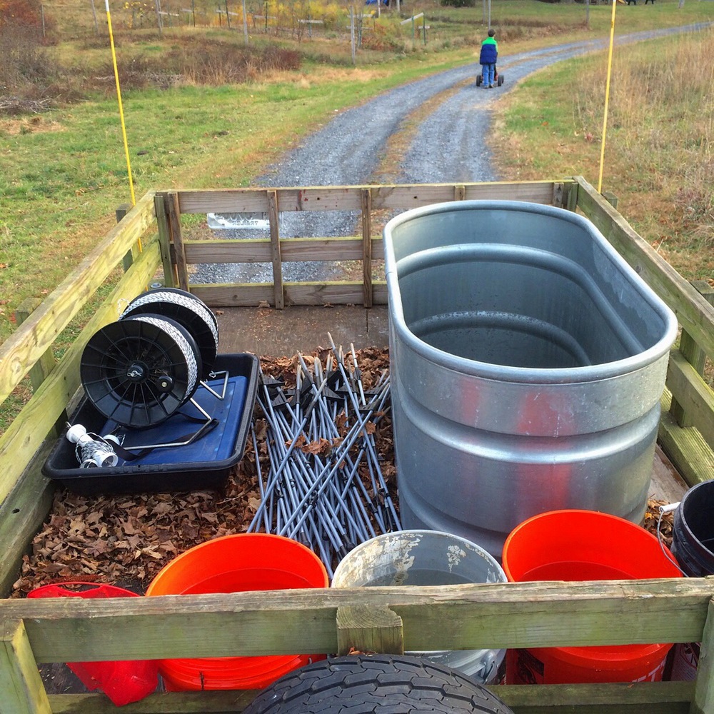 The trailer got loaded up and we hit the road to set up the new pasture before nightfall.