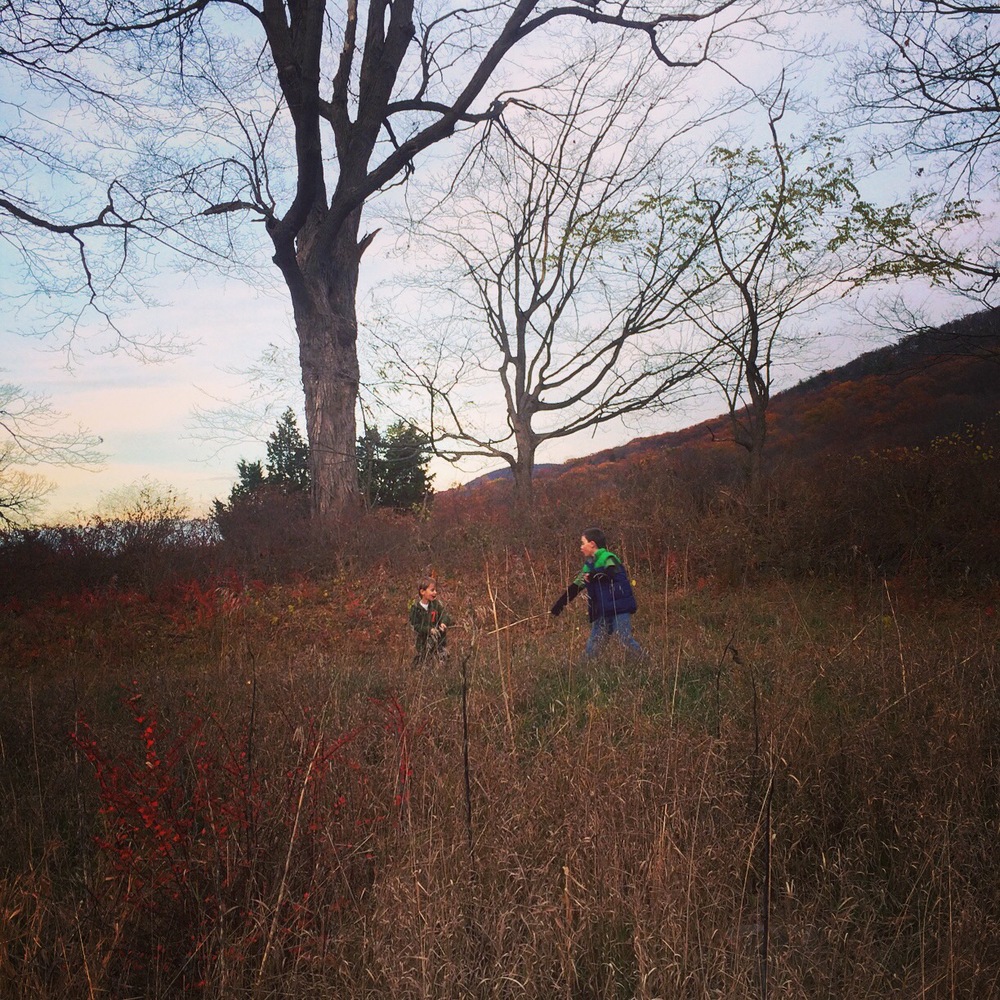 Fencing whilst fencing.