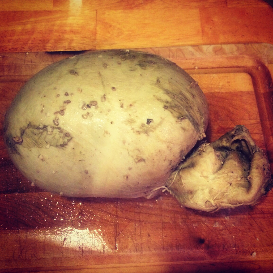 Burns Night or: How I Learned to Stop Worrying and Love Haggis — The Ardent  Homesteader