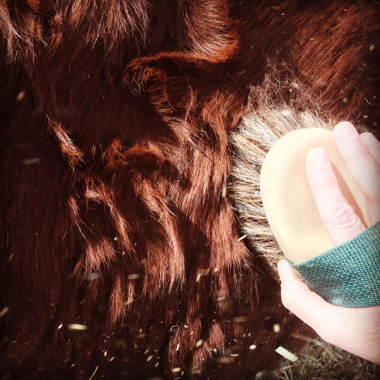 Chore Day, spring edition