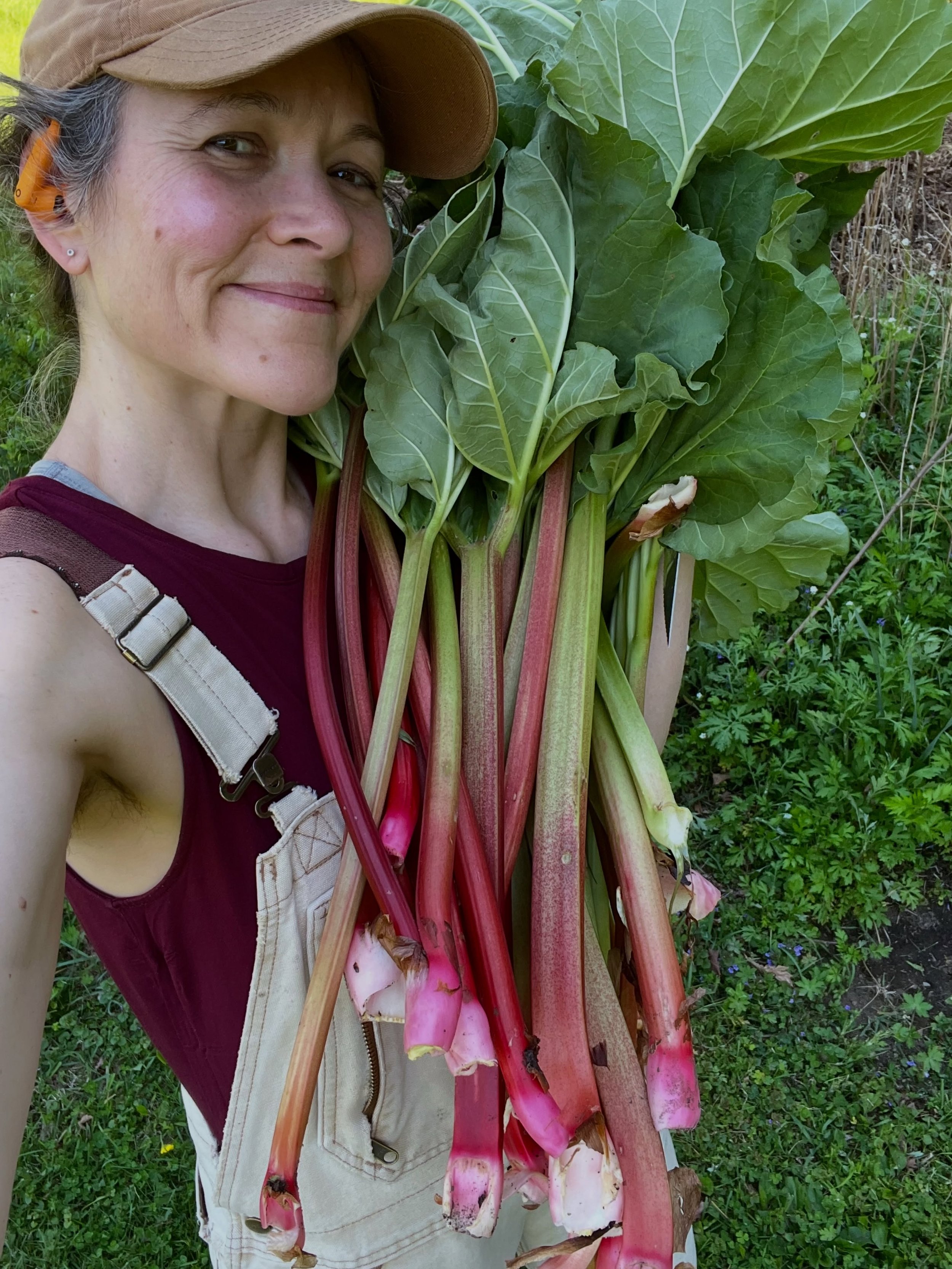 Annual rhubarb appreciation post. A late and relatively small harvest this year due to the late April frost, but I&rsquo;ll take it. 🩷💚