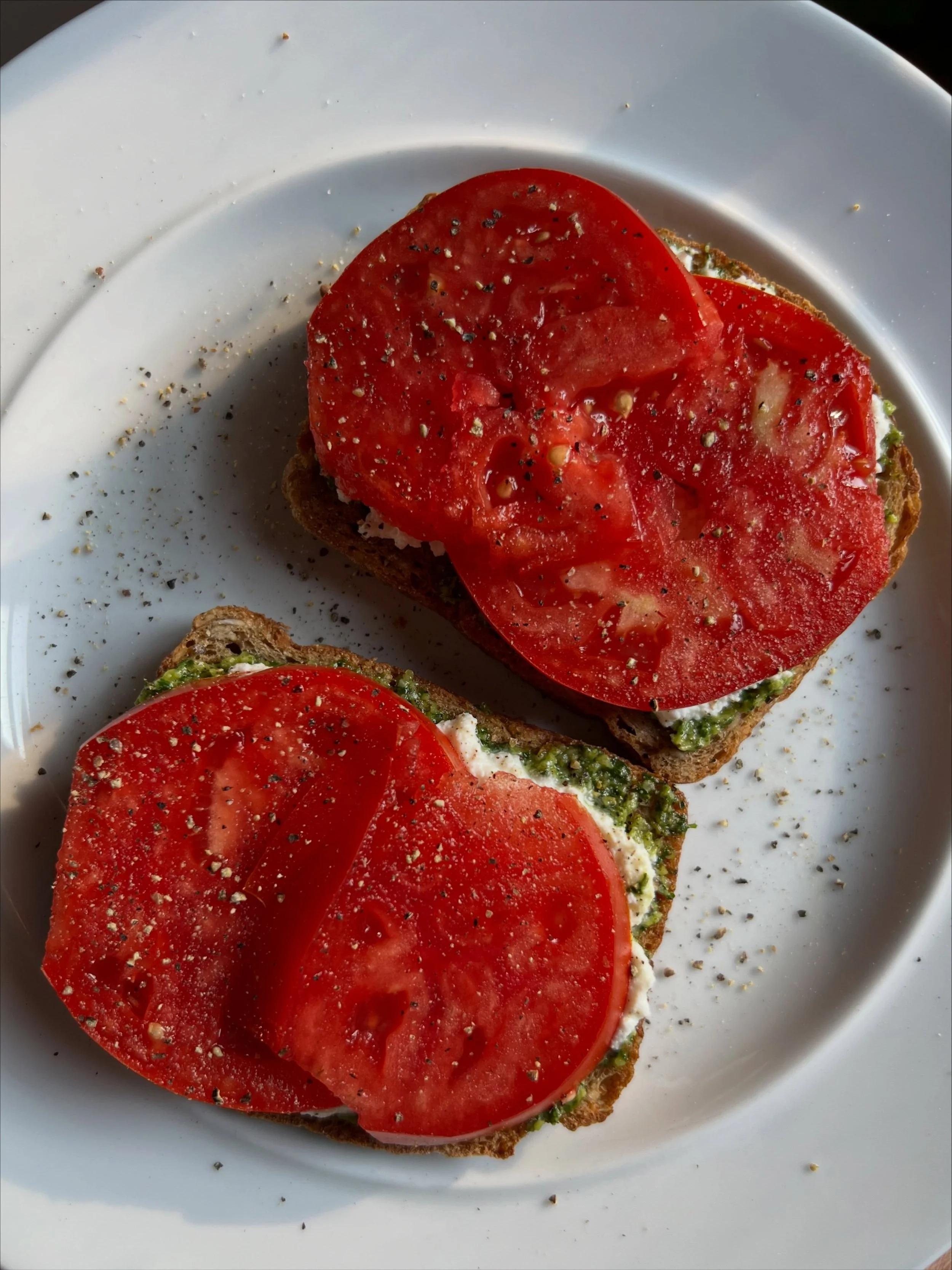 I think I ate my last homegrown tomato sandwich of the year today. So, in memoriam, a small sampling of what has basically been my lunch for the past two months.

Tomato sandwich season, you were glorious. 🍅 ❤️