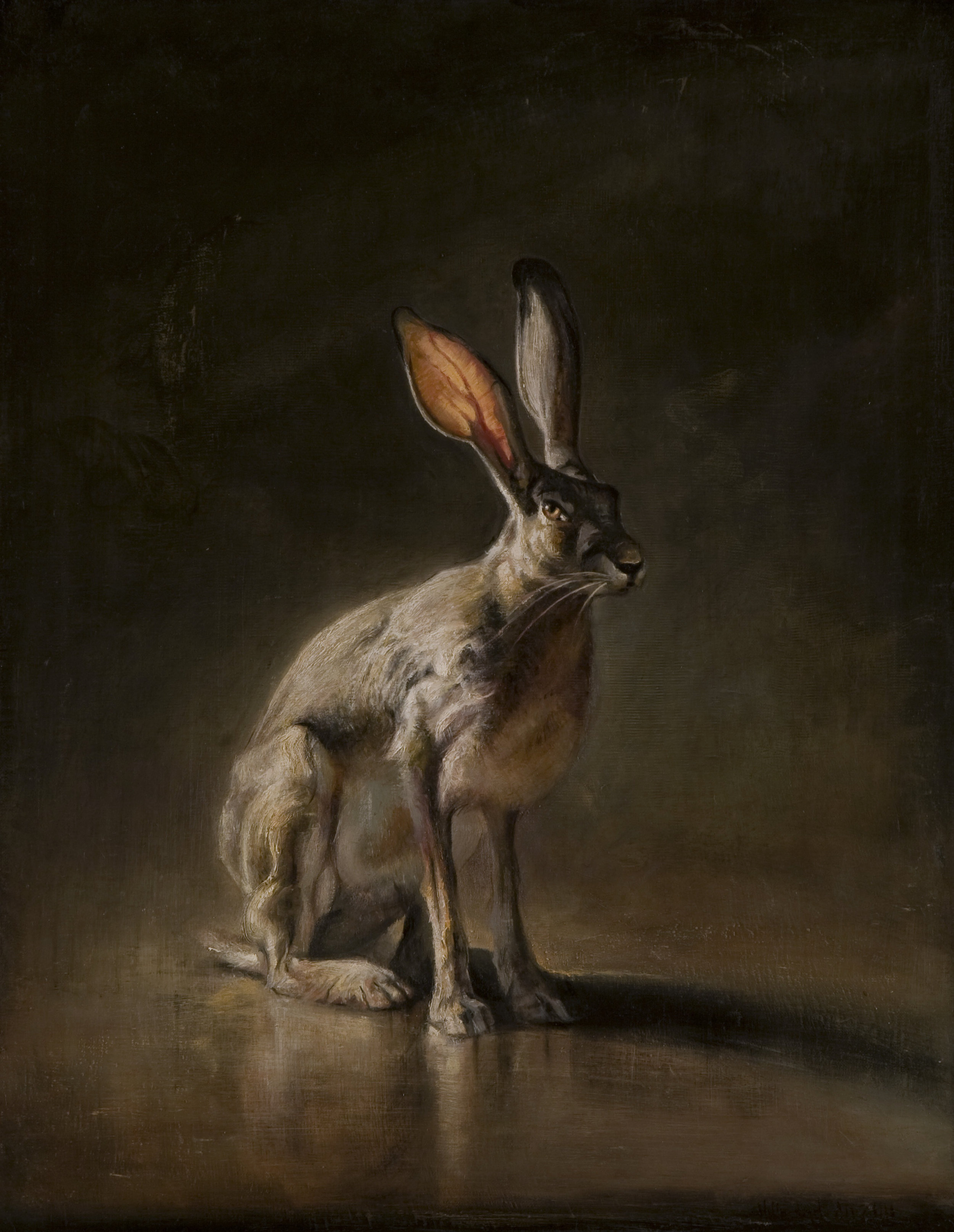 Hare  |  28" x 22"