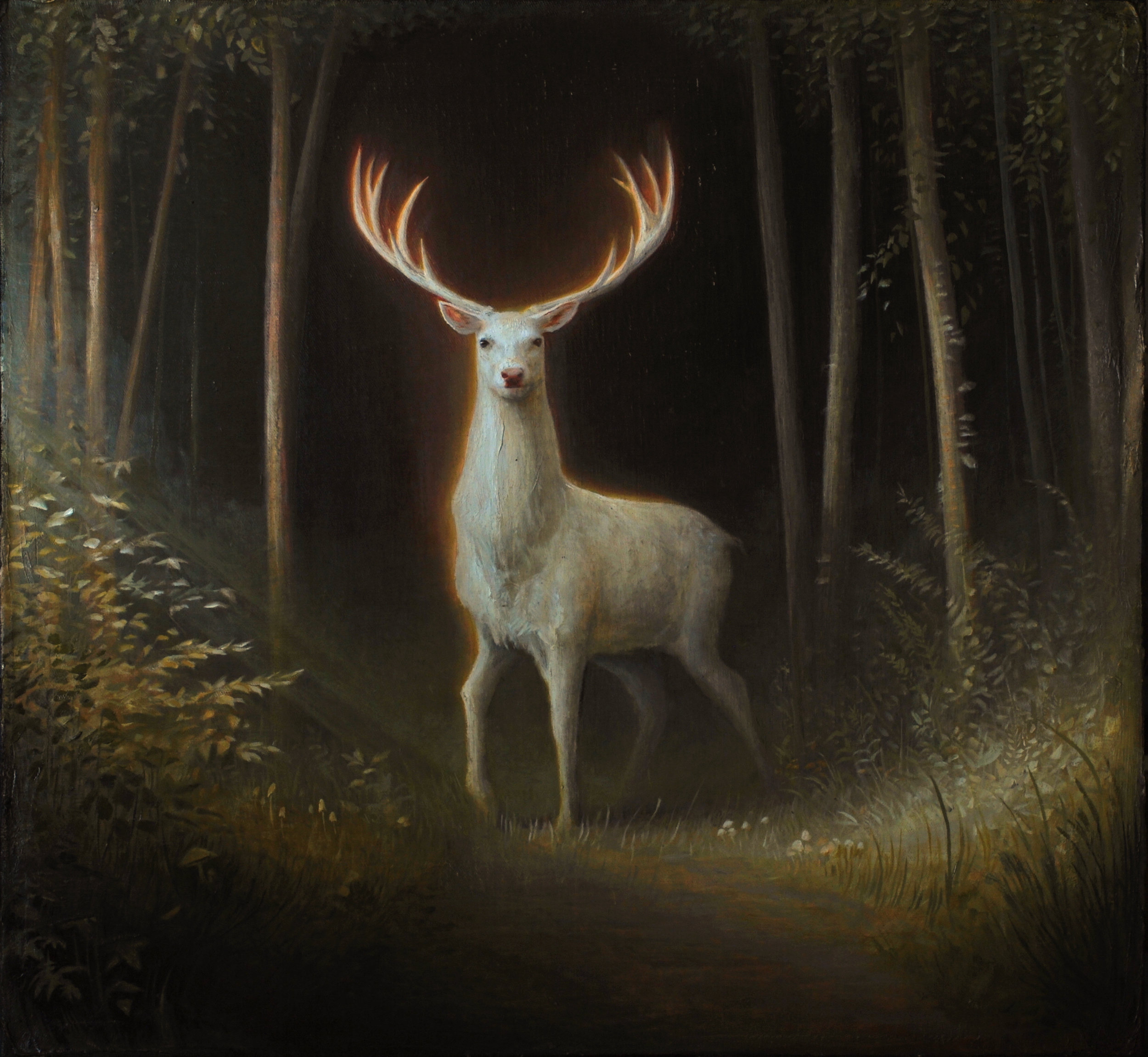 White Stag  |  24" x 26"