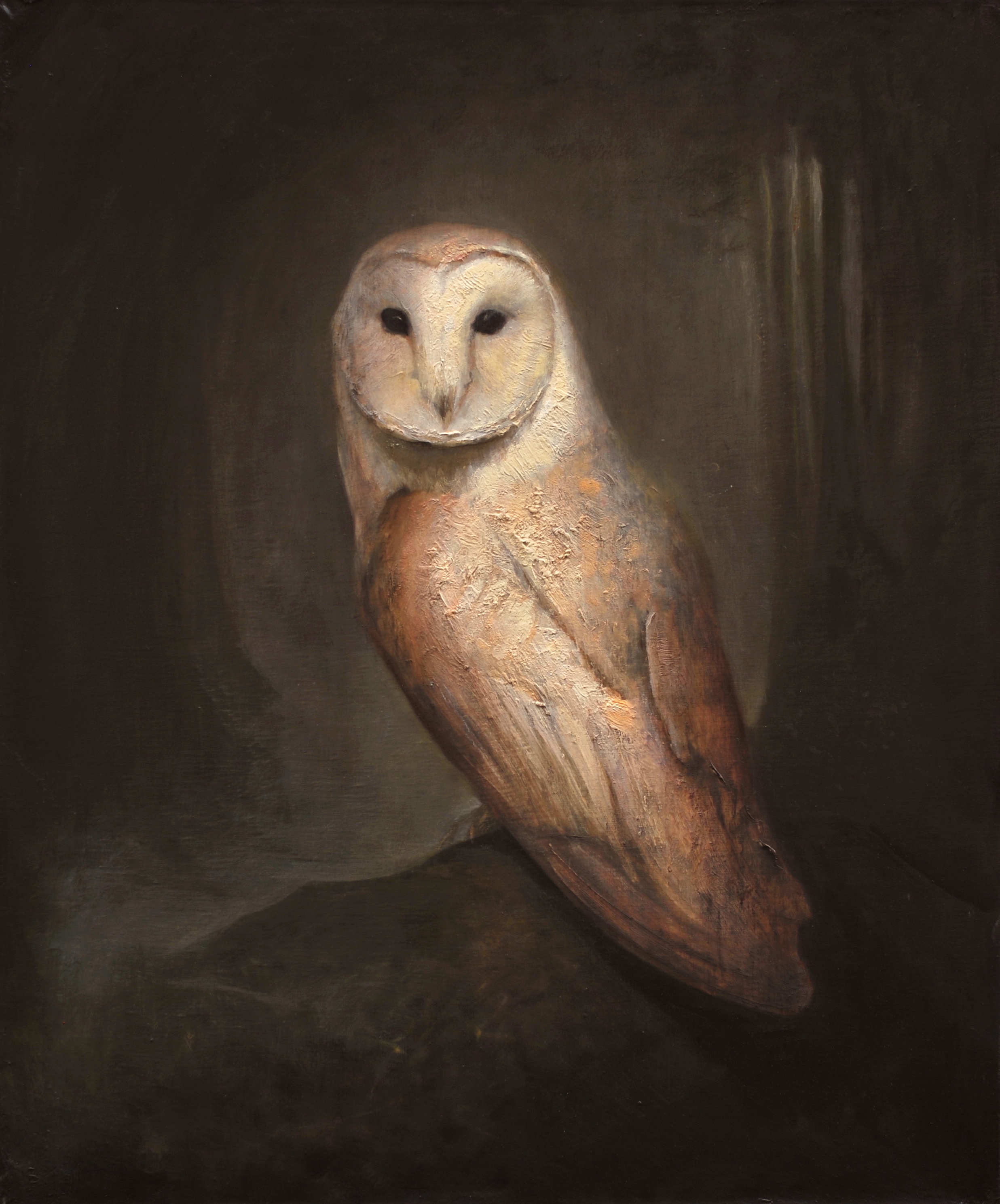 Barn Owl  |  24" x 20"