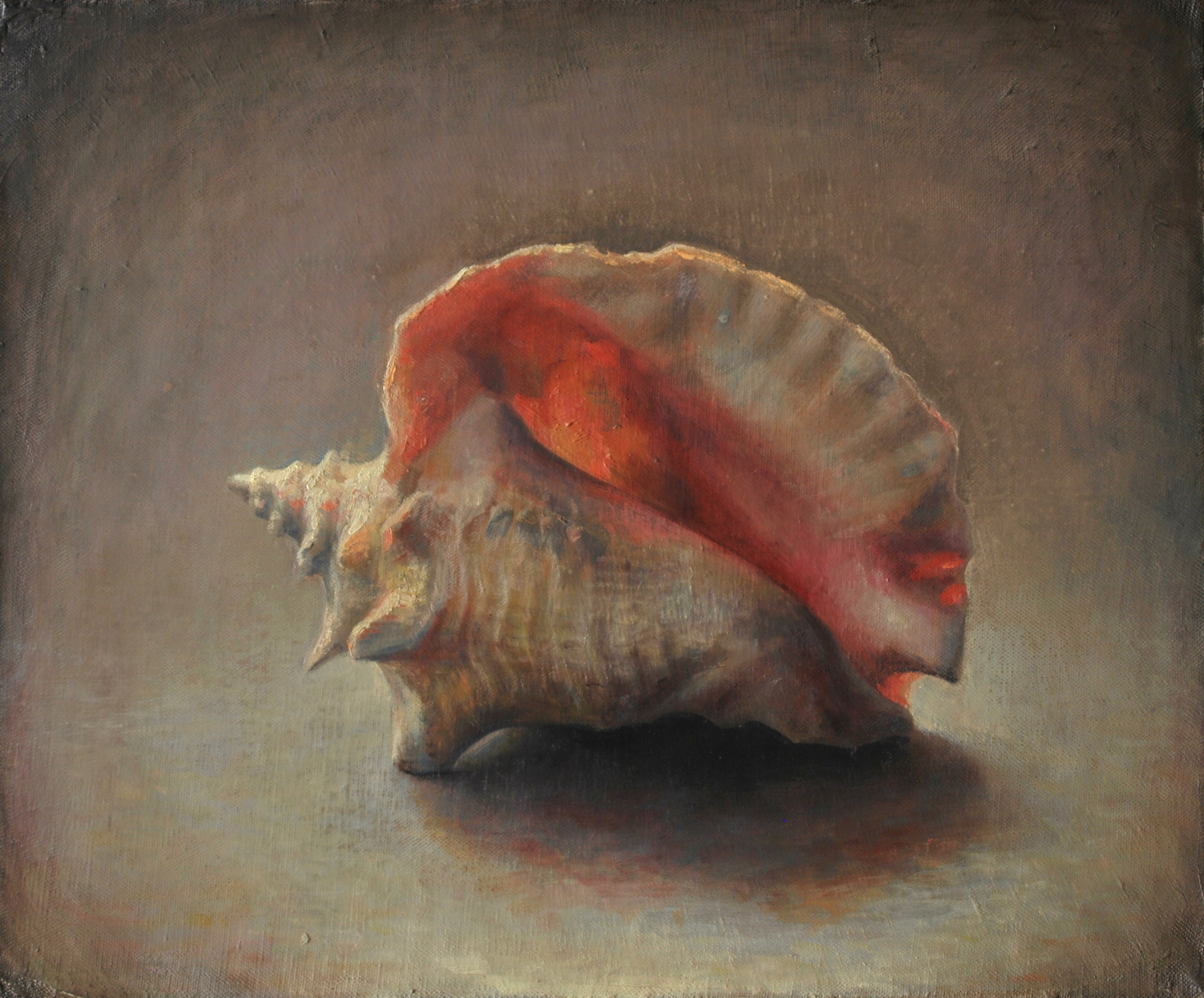 Conch Shell  |  14" x 17"