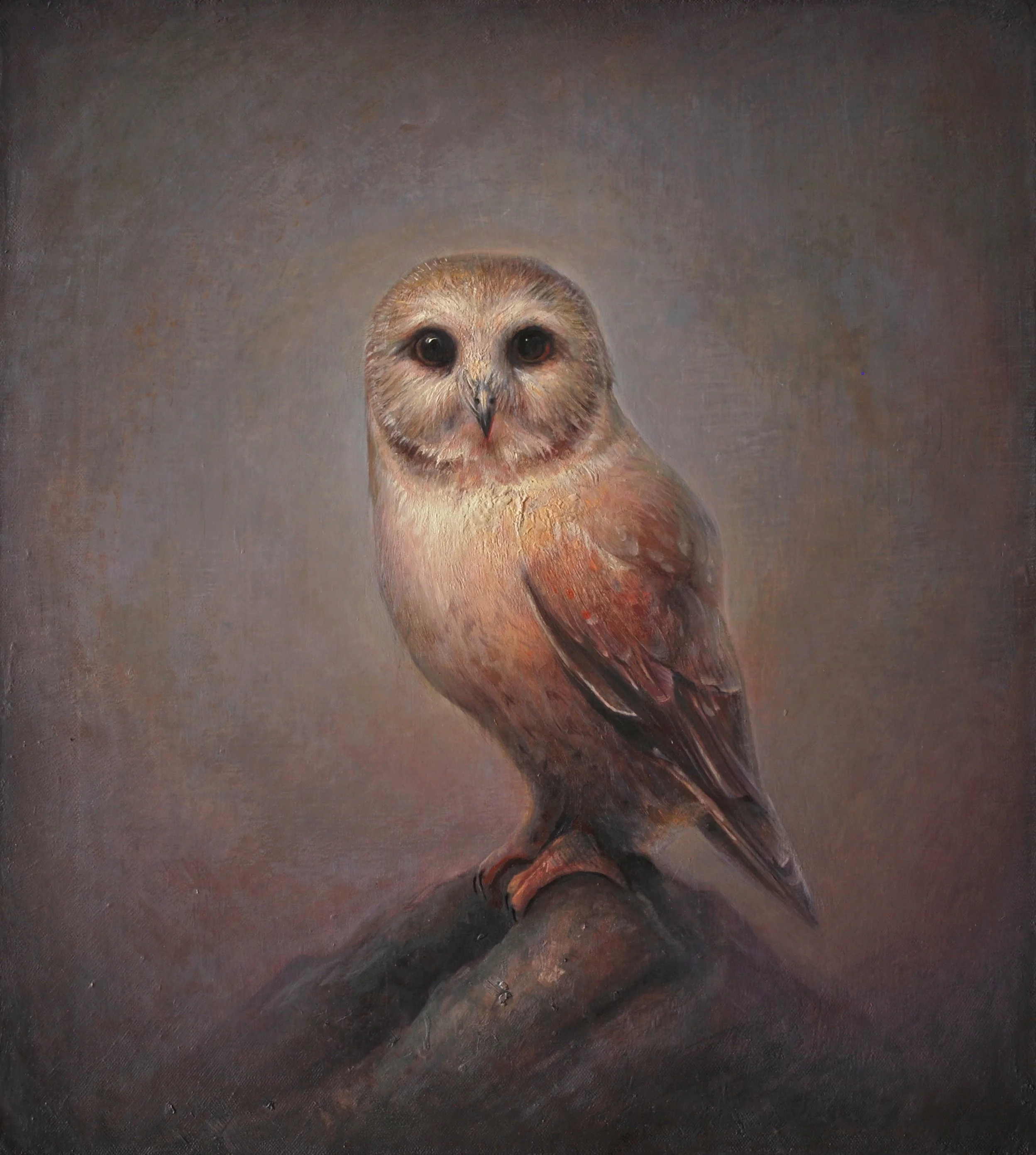 Owlet | 20" x 18"