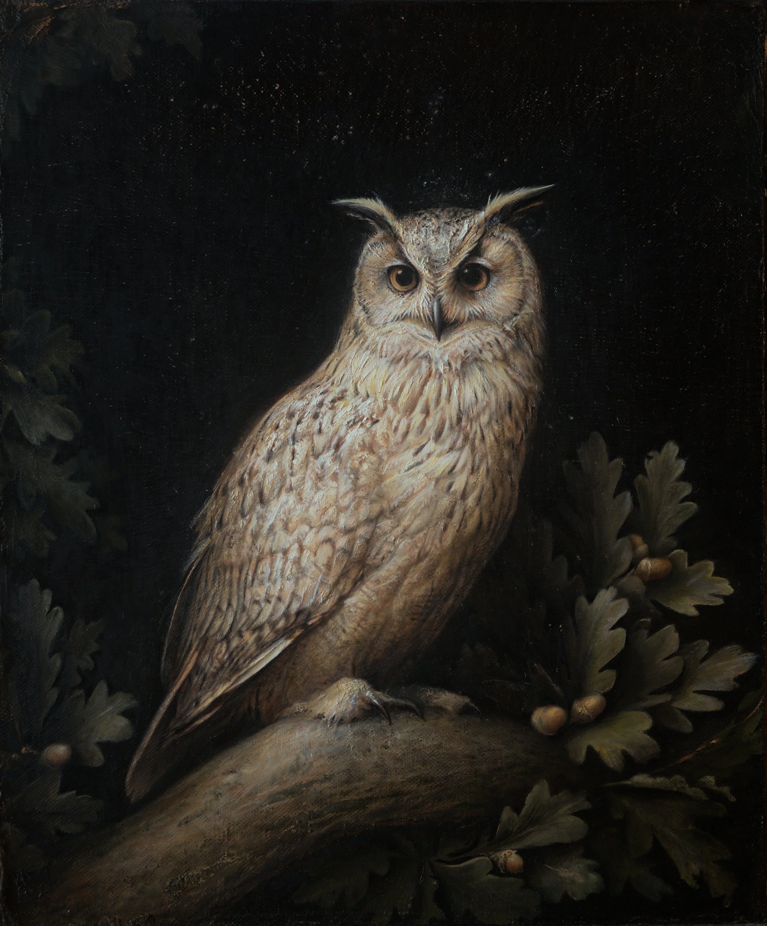Oak Owl | 24" x 20" | Oil on Hemp