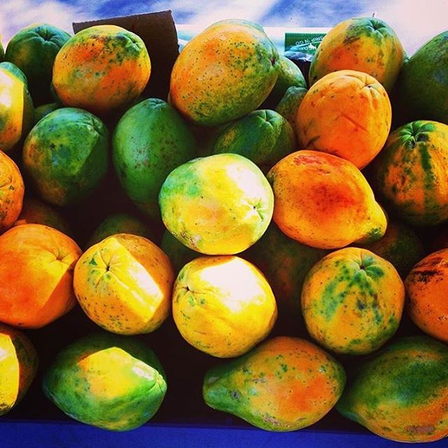 Missing eating these fresh in my smoothies! Try my smoothie recipe below, perfect for a hot summer day👌 
FUN FACTS
* The papaya is actually classified as a berry
* The black seeds in the center of a papaya are edible and have a spicy peppery taste 
