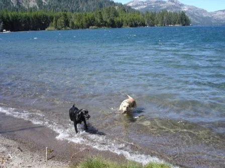 Donner Lake, 2004-2006.jpg