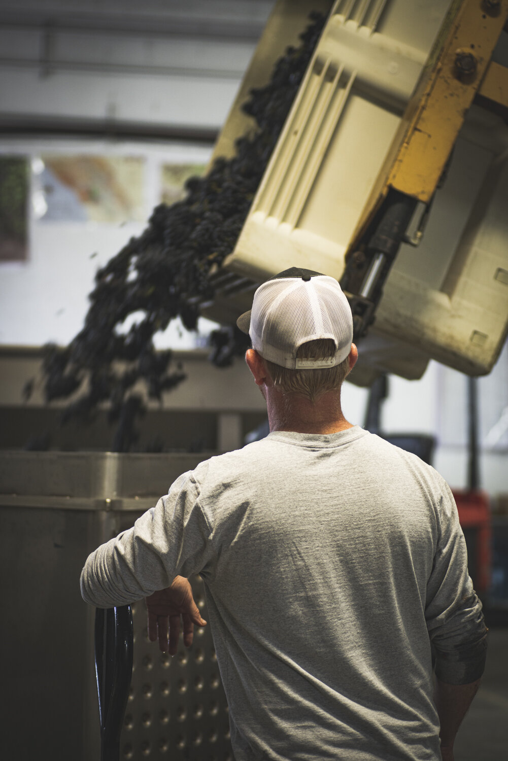 _RCW_Harvest_PinotNoir_Cellar__EGC9668.jpg