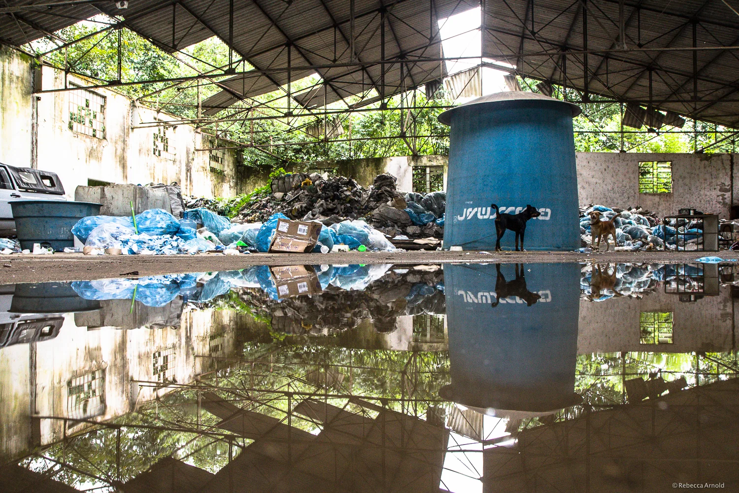 RArnold_SSW_RArnold_Brazil_2013_CARE_1810.jpg