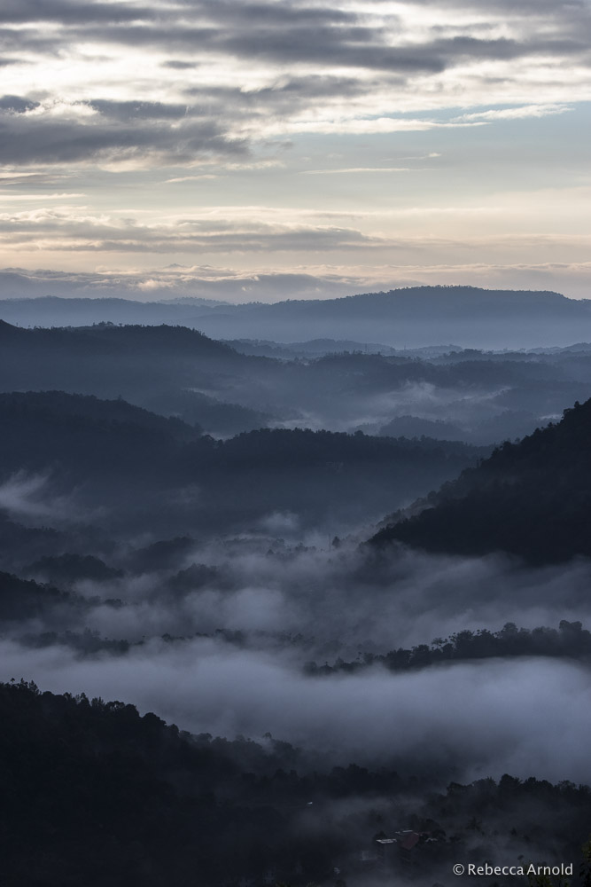 Thank you India. Sunrise over the lush, tropical mountains of Munnar, in Kerala, India. To see more nature and nonprofit photos or follow Rebecca on social media, see menu. 