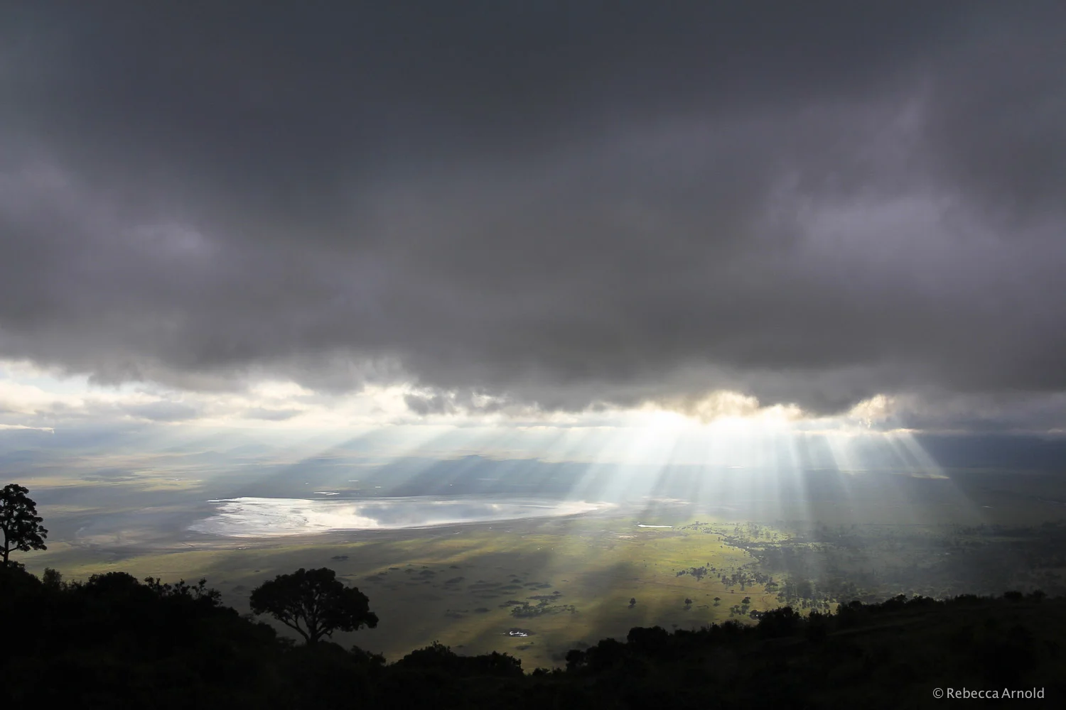 Ngorongoro Breaks, Tanzania 2011 16" x 24" | 24" x 36" | Custom Sizes PURCHASE Archival Pigment Print