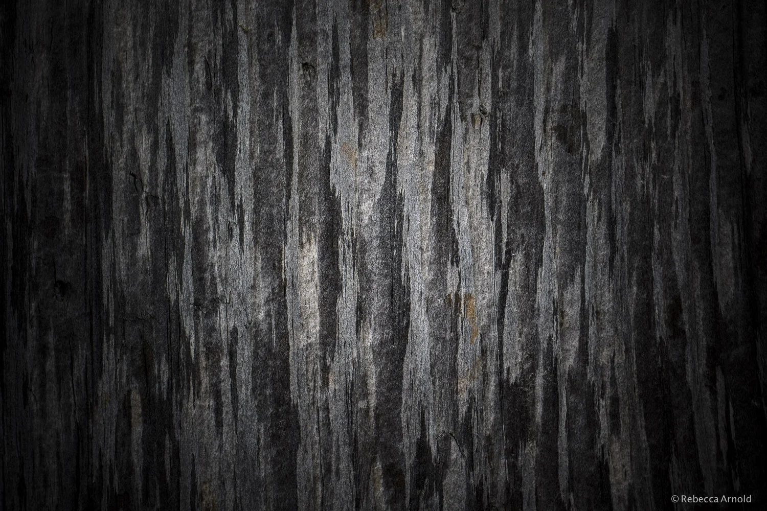 Weathered, Italy 2016 16" x 24" | 24" x 36" | Custom Sizes PURCHASE Archival Pigment Print Edition: 150