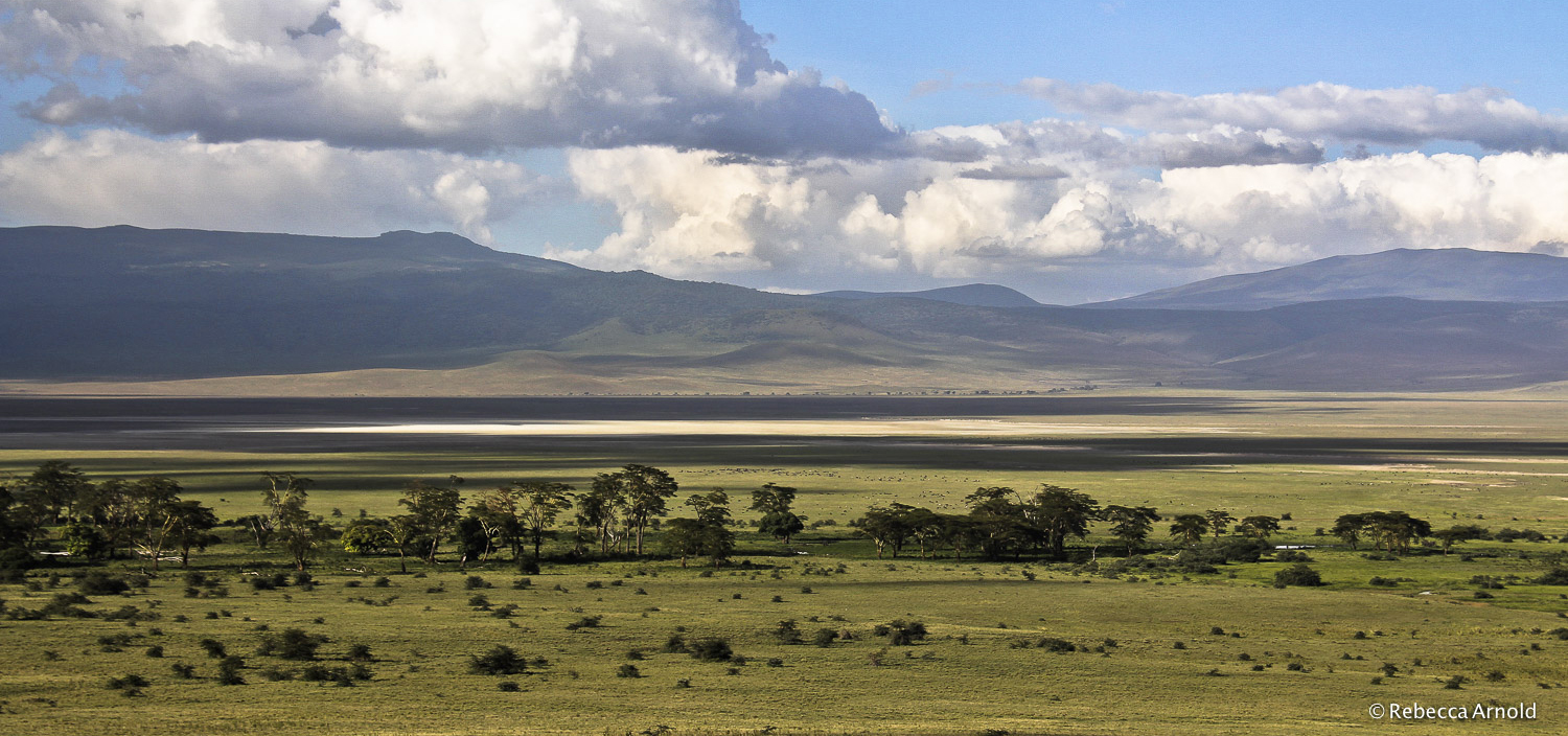 Ngorongoro Savannah, Tanzania PURCHASE Archival Pigment Print