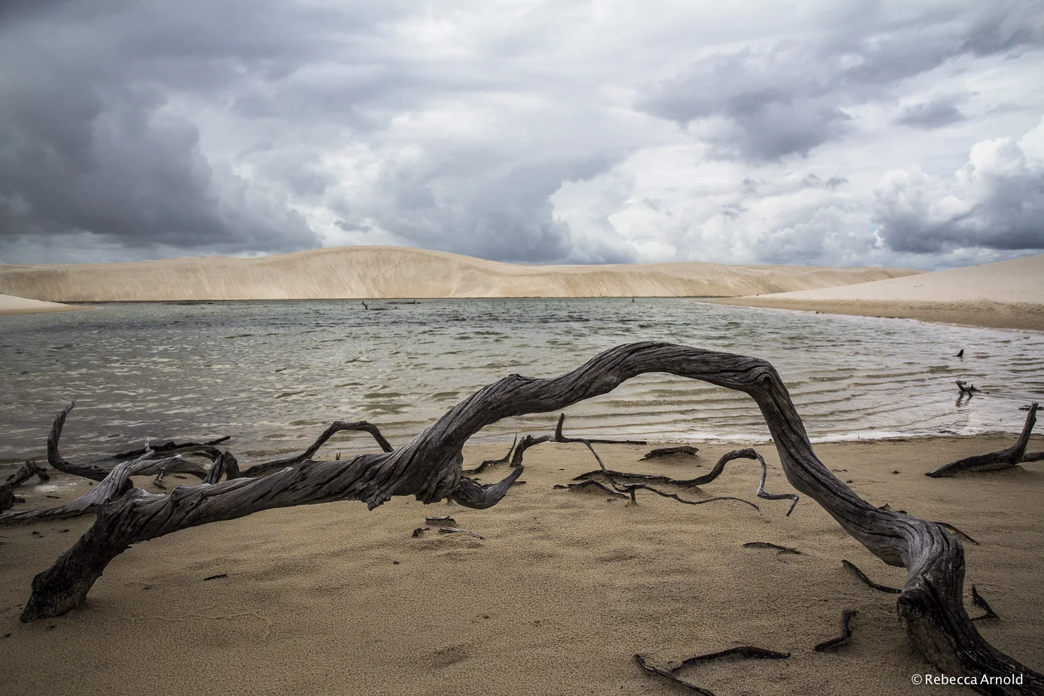 Remains, Brazil 2013 16" x 24" | 24" x 36" | Custom Sizes PURCHASE Archival Pigment Print Edition: 150