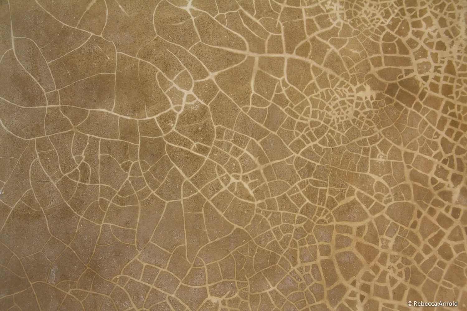 Map of Jiwe, Lamu Island, Kenya 2011 16" x 24" | 24" x 36" | Custom Sizes PURCHASE Archival Pigment Print Edition: 150