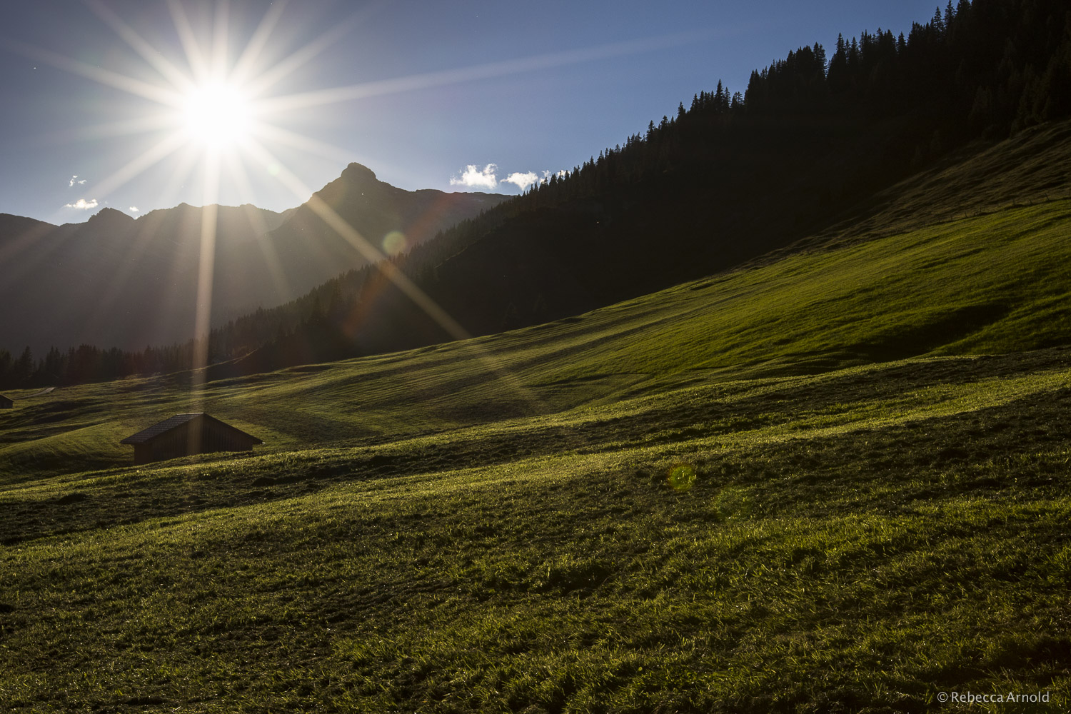 Sunset Meadow, Austria