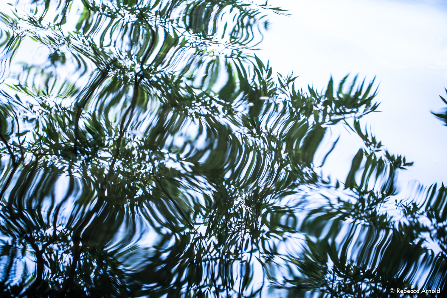Mercuric Blue, Michigan, USA 2018 16" x 24" | 24" x 36" | Custom Sizes PURCHASE Archival Pigment Print Edition: 150