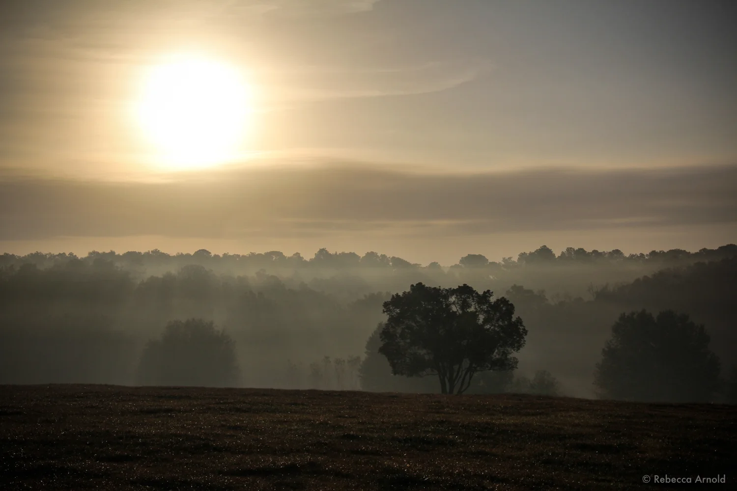 Morning Starts, Florida, USA 2012 16" x 24" | 24" x 36" | Custom Sizes PURCHASE Archival Pigment Print