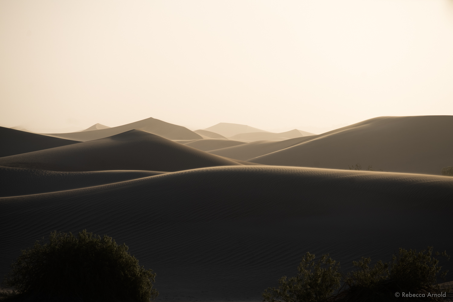 Silky Depths, CA, USA 2017 16" x 24" | 24" x 36" | Custom Sizes PURCHASE Archival Pigment Print Edition: 150