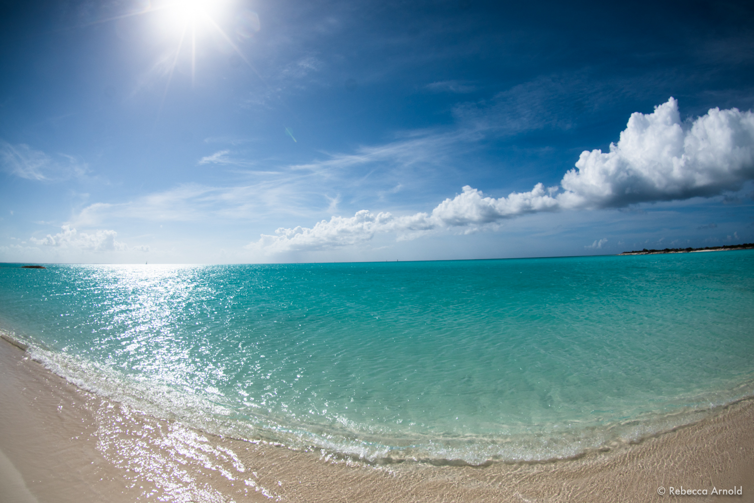 RArnold_2018_Website__DSC4951.jpg