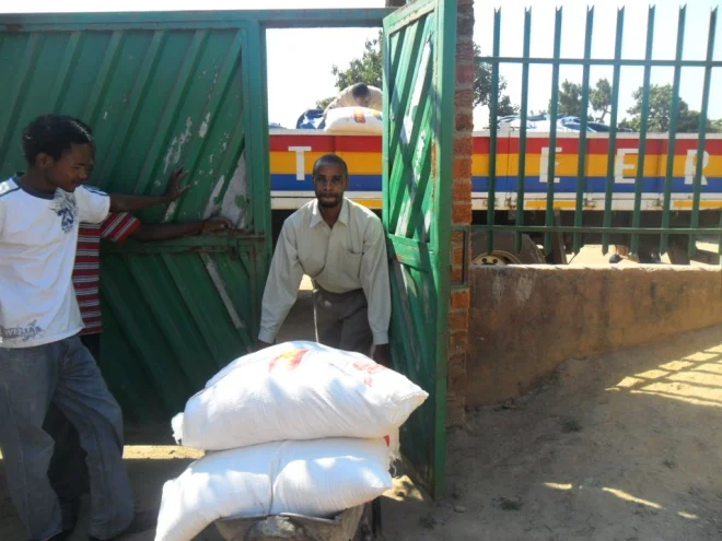 Stanley helping the boys to offload 25 Kg sacks of mealie meal from a CHAT Milling Company truck