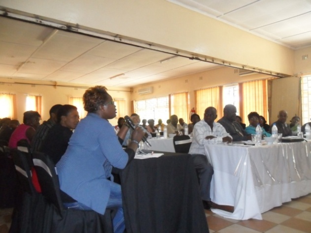Miriam (in blue) from COHEP in conquering with what I said also added that in Zambia the 2011 statistics showed that only 4% of the medical practitioners went for HIV tests and had their HIV status known