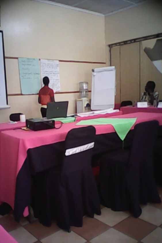 Cynthia from the CAM staff doing a presentation during the project design training