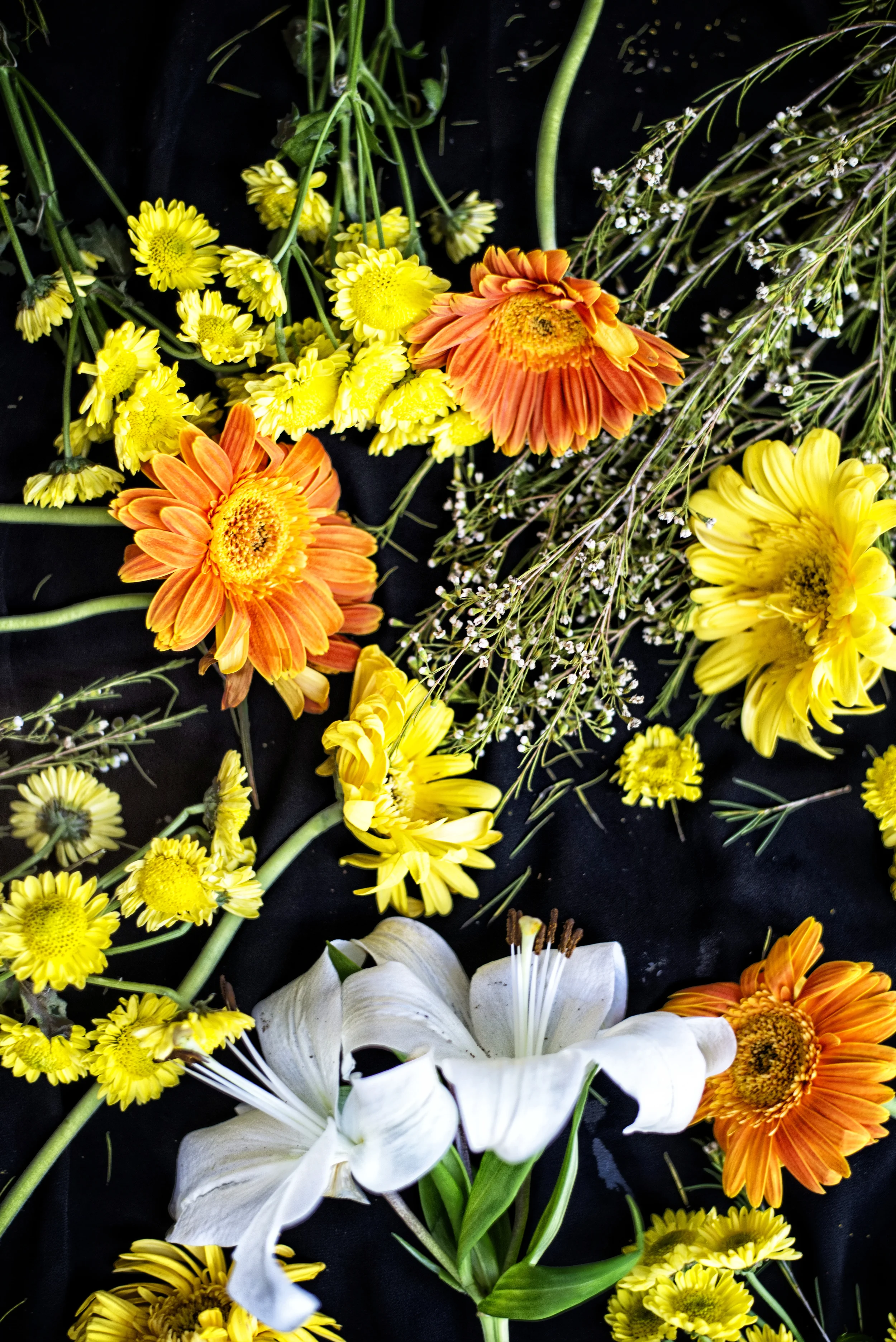 Spring2015_DSC_2343 copy.jpg