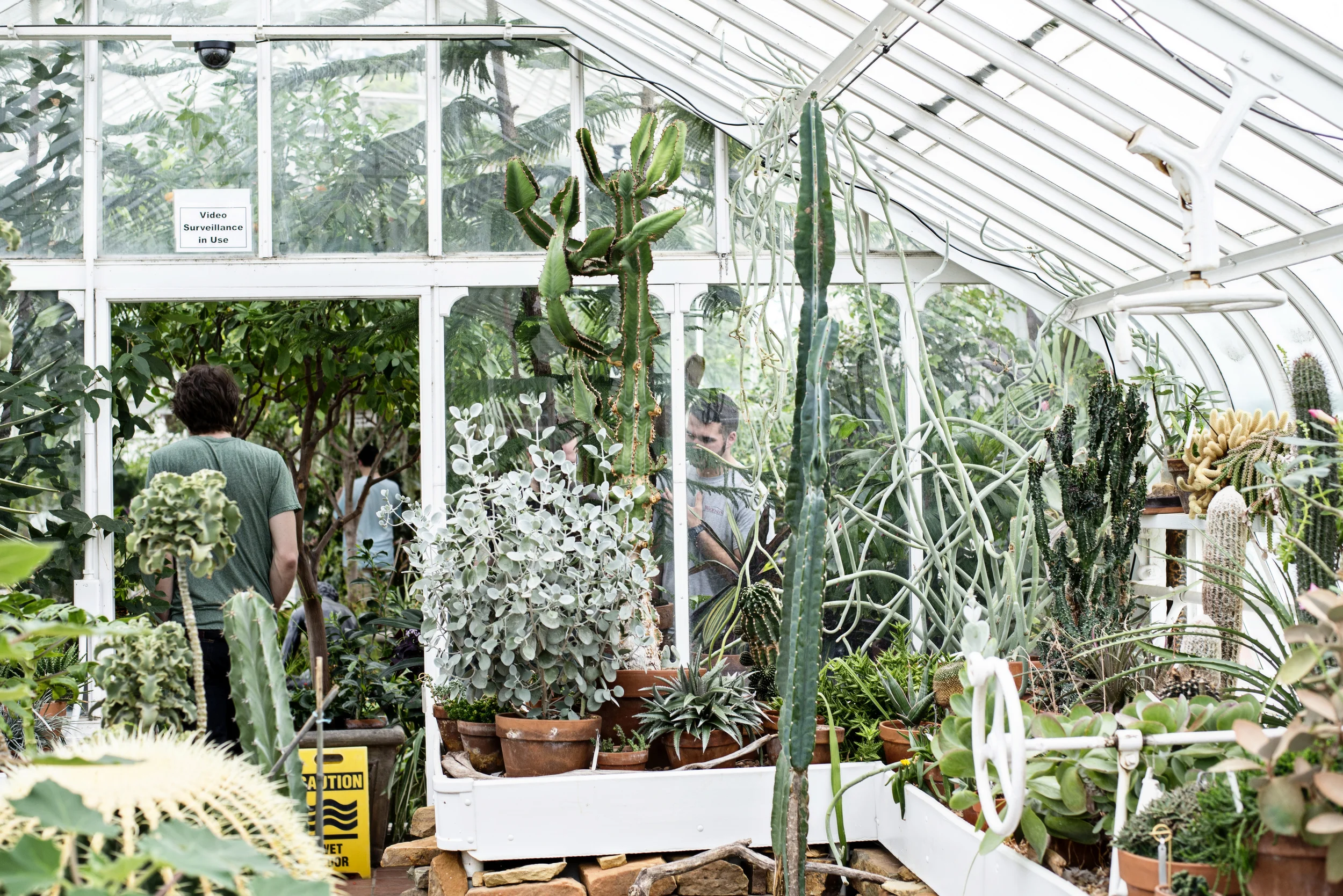 Spring2015_DSC_3468_1 copy.jpg