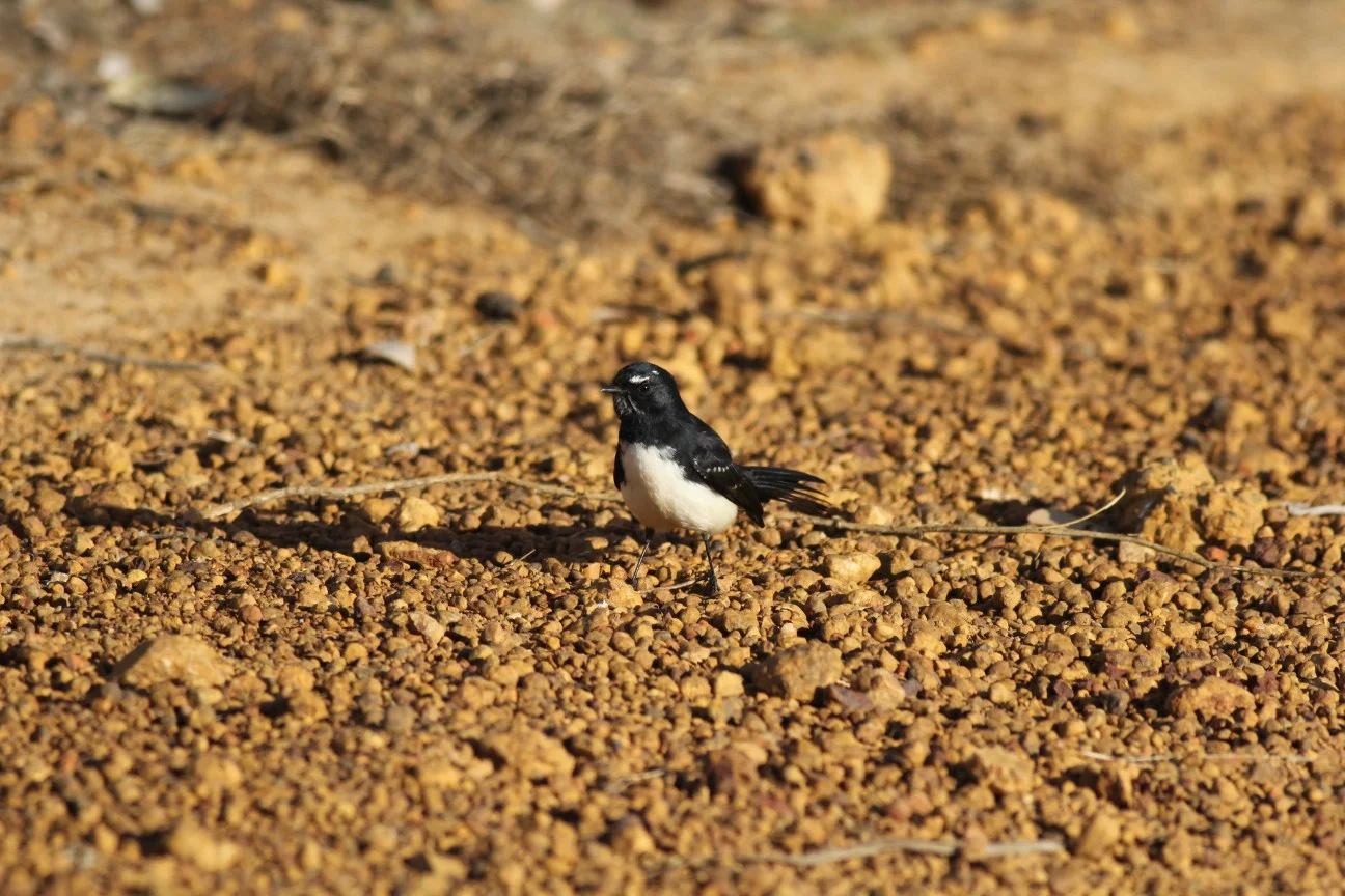2014_IMG_3952 - Copy.jpg