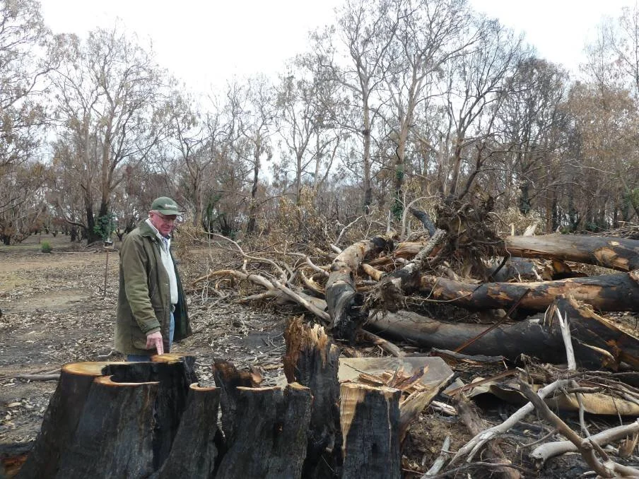 Hanson Bay Wildlife Sanctuary on the road to recovery after devastating bushfire
