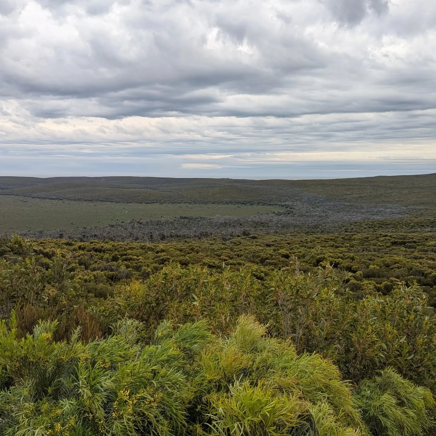 The view from Bunker Hill in Flinders Chase national Park. Did you know they currently have free admission? Swing by the sanctuary and do a tour and then hit the park. #seeaustralia #seesouthaustralia #authentickangarooisland #kangarooIsland