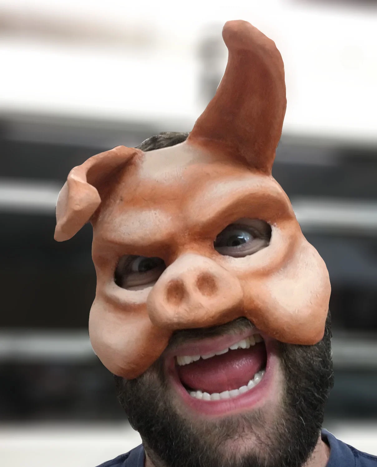 Pig.jpg