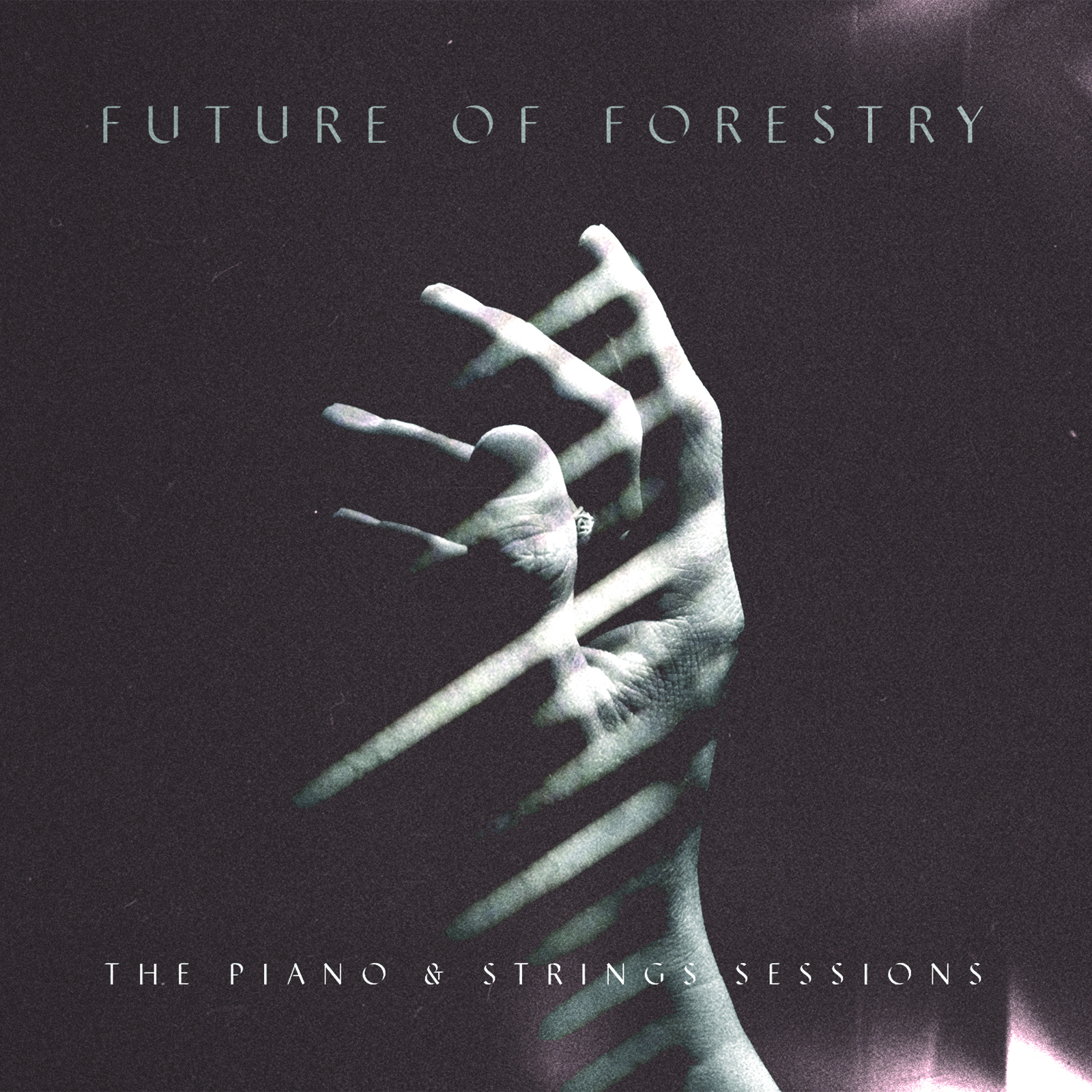 FOF_PS-FRONT_FINAL 1600x1600.jpg