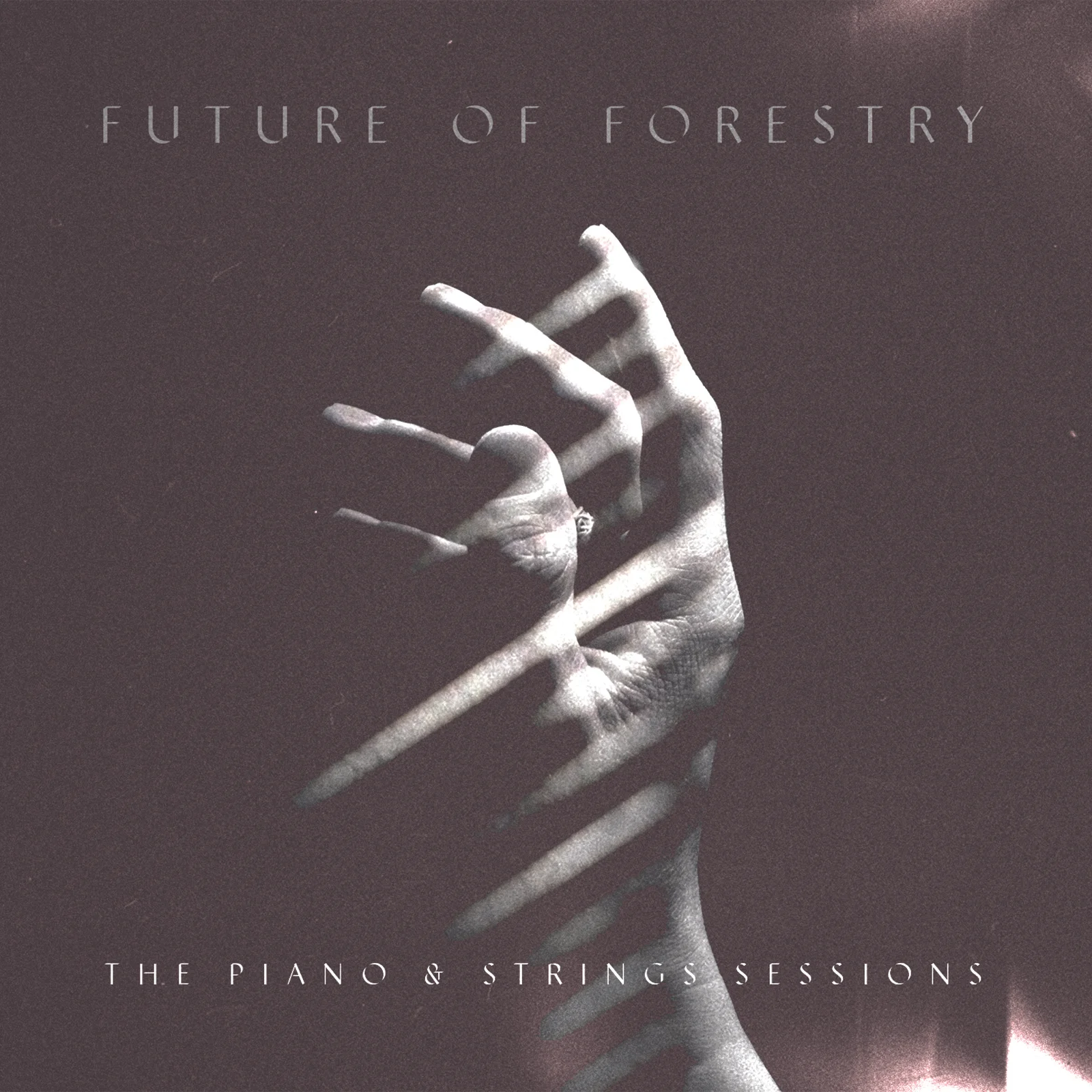 FOF_PS-FRONT_FINAL 1600x1600.jpg