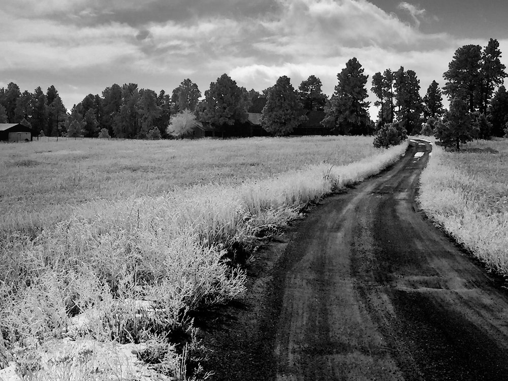 Environment