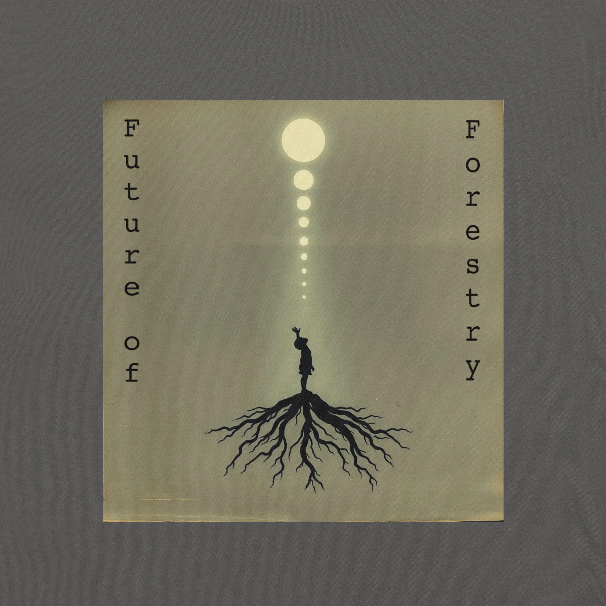 Rooted child close.jpg