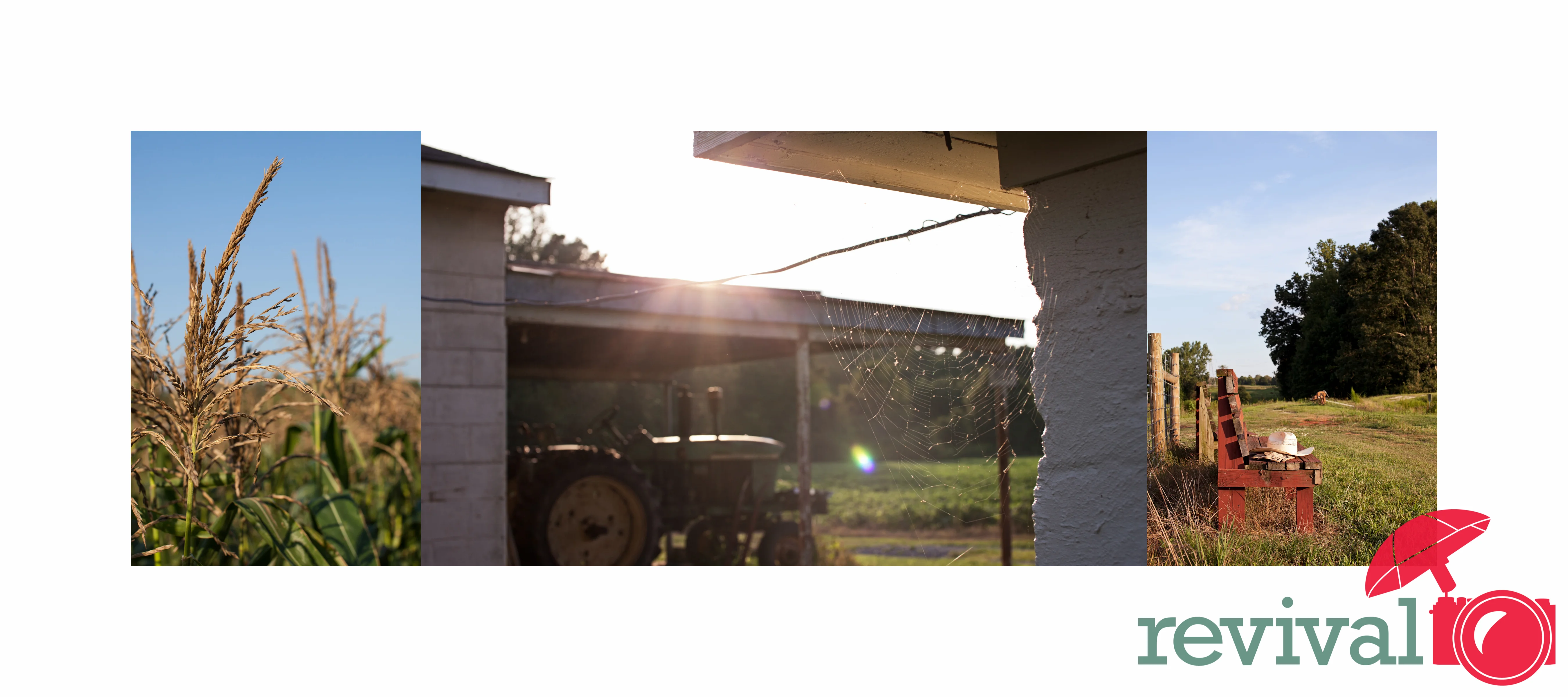 Dellinger Family Farms: The Farm, The Family, The Story…