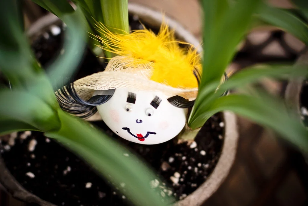 “Eggna and Her Unlikely Adventures”